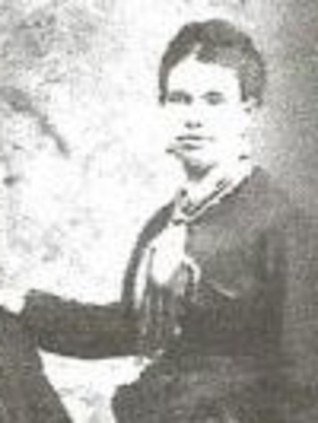 Elizabeth Llewellyn (1845 - 1937) Profile